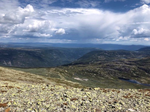 1e91fdd6-11d6-4778-9e79-02682210b876